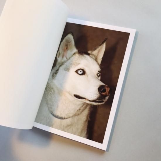 Dog Ryan Mcginley Ed Templeton 名越啓介 古本買取販売 Atelier アトリエ デザイン 写真集 美術書 アートブック 建築 Dog Ryan Mcginley Ed Templeton 名越啓介 古本買取販売 Atelier アトリエ デザイン 写真集 美術書 アートブック 建築