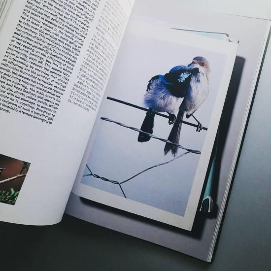 ACT OF LOVEA VISUAL DICTIONARY OF ANIMAL COURTSHIP - 古本買取販売