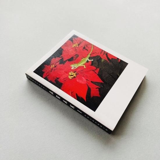 荒木経惟 polaroid 本人サインあり Araki Nobuyoshi 荒木経惟 polaroid 本人サインあり Araki Nobuyoshi（荒木経惟