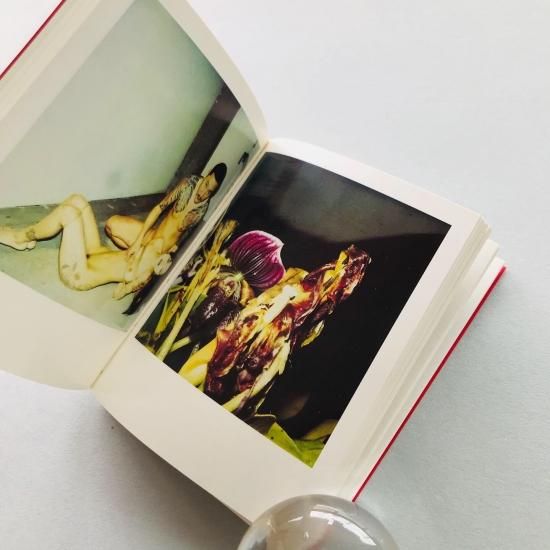 SIGNED＞POLAEROID荒木経惟NOBUYOSHI ARAKI - 古本買取販売 | ATELIER