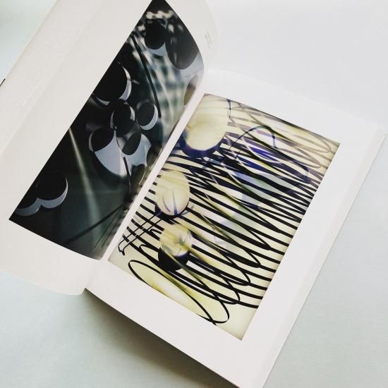 トーマス・ルフ THOMAS RUFF(増田玲、中田耕市) / 古本、中古本