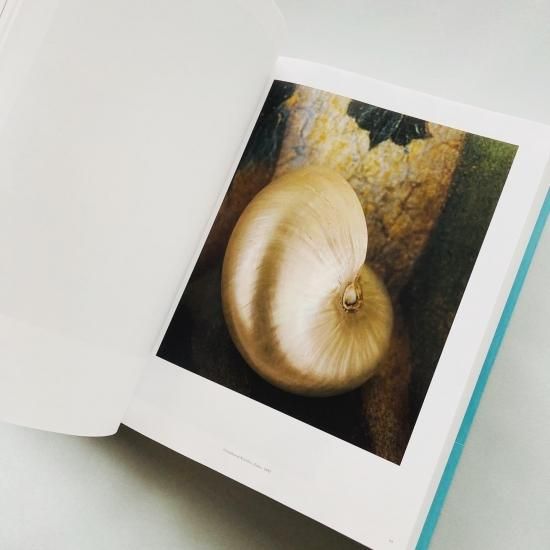 A Life with Camera Yoshihiko Ueda - 上田 義彦 / Yoshihiko Ueda