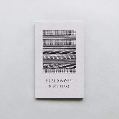 FIELD WORK / Nigel Peake<br>ʥ롦ԡ
