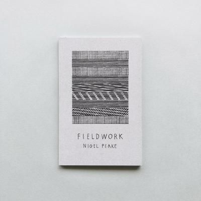 FIELD WORK / Nigel Peake<br>ʥ롦ԡ