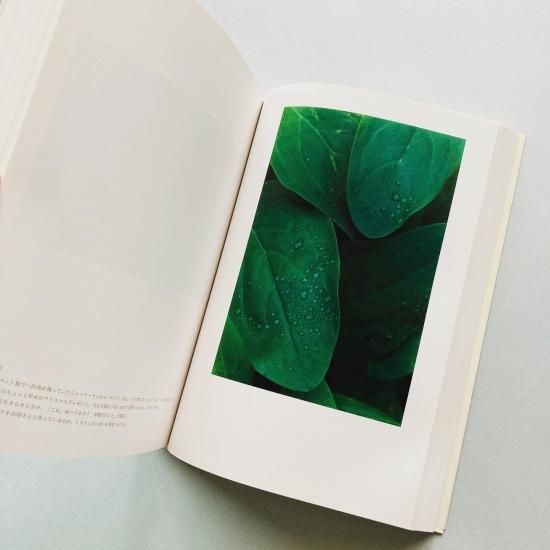 at Home / 上田義彦 Yoshihiko Ueda