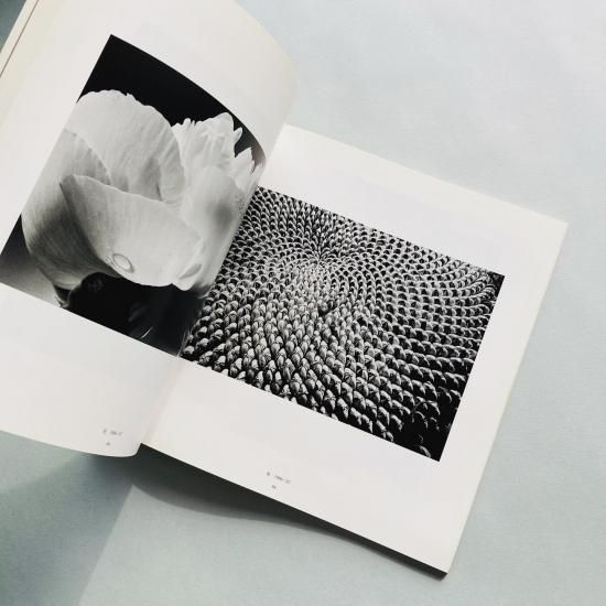 石元泰博 写真展 ソノレ カタログ