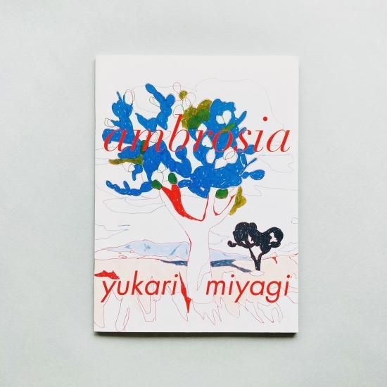 ambrosia yukari miyagi アート作品集 ambrosia yukari miyagi アート作品集 - メルカリ