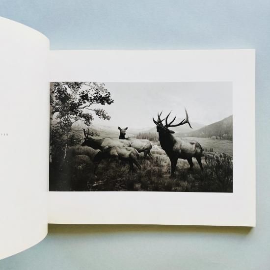 SUGIMOTO｜杉本博司 Hiroshi Sugimoto