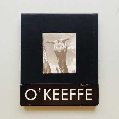 Georgia O'Keeffe<br>The Artist's Landscape<br>硼<br>Todd Webb ȥåɡå
