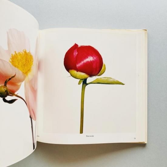 Irving Penn「FLOWERS 」アーヴィング・ペン Irving Penn: Flowers(古書)