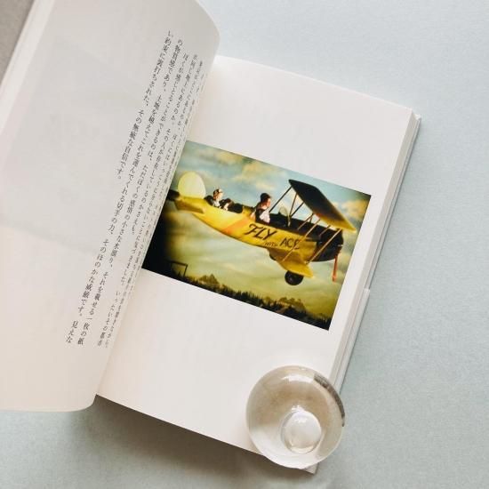 葉書でドナルド・エヴァンズに I 平出隆, Donald Evans