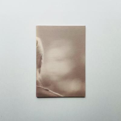 SIGNEDBLINDNESS: PICTURES FOR<br>ANOTHER UNTOLD STORY<br>Ola Rindal 顦