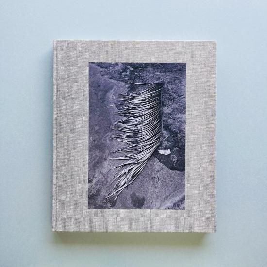 Viviane: Sassen Pikin Slee｜ヴィヴィアン・サッセン｜アート