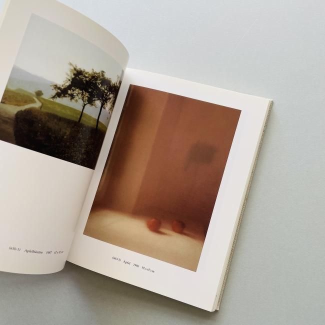 Gerhard Richter 100 Bilder ゲルハルト・リヒター｜Hans Ulrich