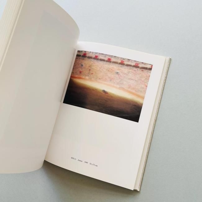 Gerhard Richter 100 Pictures ゲルハルト リヒター Gerhard Richter: 100 ABSTRACT PICTURES | ON SUNDAYS