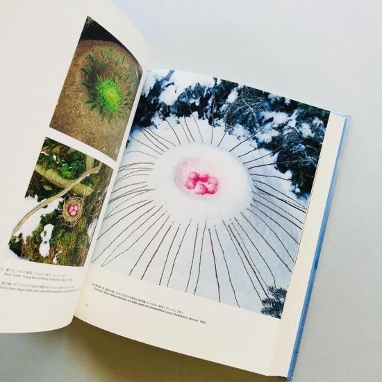 NILS-UDO ニルス・ウド Towards Nature 自然へ 現代美術 ニルス=ウド 自然へ｜NILS-UDO Towards Nature