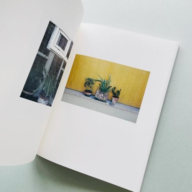 COLAZIONE SULL'ERBA｜Luigi Ghirri ルイジ・ギッリ