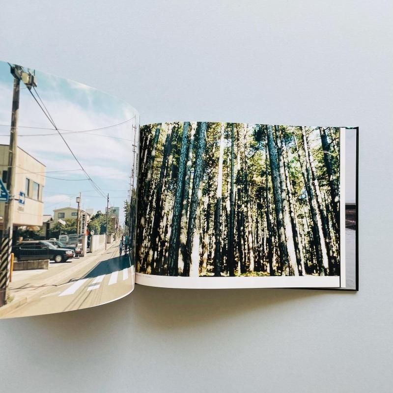 BELLEVUE LANDSCAPE PHOTOGRAPHS｜エレン・フライス, 大類信