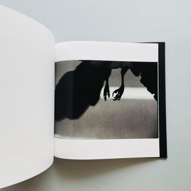 鴉 SOLITUDE OF RAVENS|深瀬昌久 Masahisa Fukase|RAT HOLE