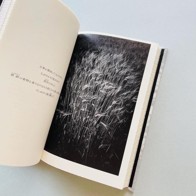 森山大道写真集　Daido Moriyama: Dazai 表紙2種から選択】『DAIDO SLIDE 』森山大道 写真集 森山大道