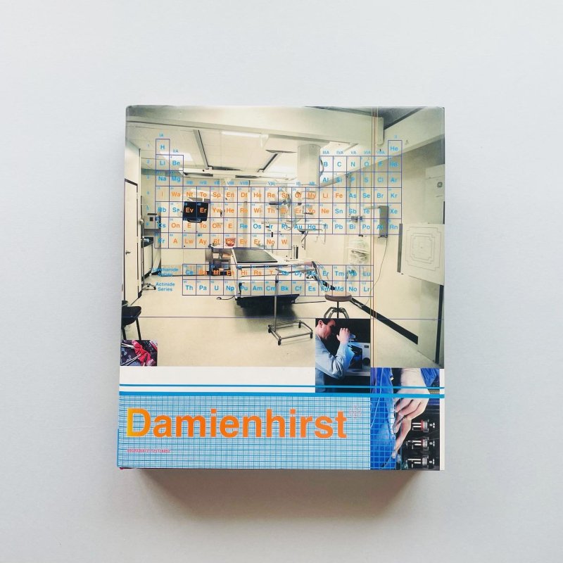 Damien Hirst: I Want to Spend the Rest of My Life Everywhere, With
