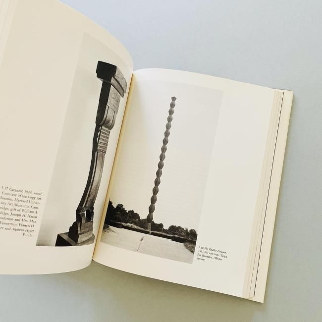 Constantin Brancusi: Shifting the Bases of Art コンスタンティン・ブランクーシ|Anna C. Chave アンナ・C・チェイブ Constantin Brancusi: Shifting the Bases of Art コンスタンティン・ブランクーシ|Anna C. Chave アンナ・C・チェイブ