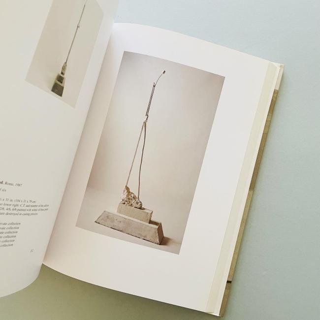 Cy Twombly : Catalogue Raisonne of Sculpture Vol.1 1946-1997 Cy Twombly : Catalogue Raisonne of Sculpture Vol.1 1946-1997