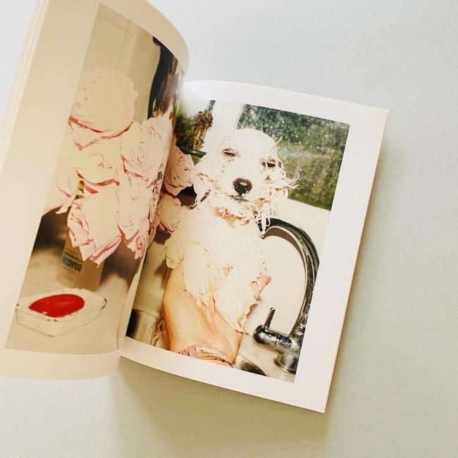 公式 54335/洋書 Juergen Teller Plumtree Court ユルゲン・テラー アート写真