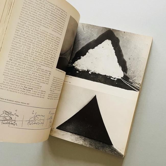 Joseph Beuys ヨーゼフ・ボイス｜Caroline Tisdall