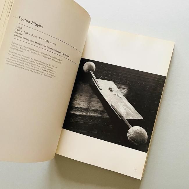 Joseph Beuys ヨーゼフ・ボイス｜Caroline Tisdall