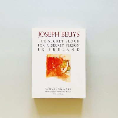 Joseph Beuys : The Secret Block<br>for a Secret Person<br>in Ireland<br>ヨーゼフ・ボイス　