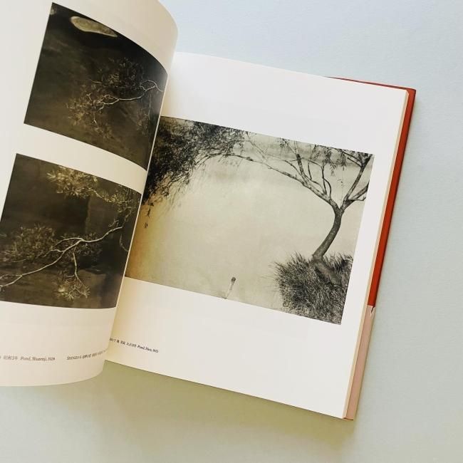 光とその諧調 福原信三・福原路草写真集 1913年-1941年｜THE