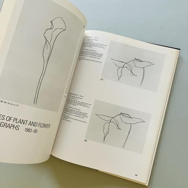 洋書希少）エルズワース・ケリーの個展図録、1989年、ブラム