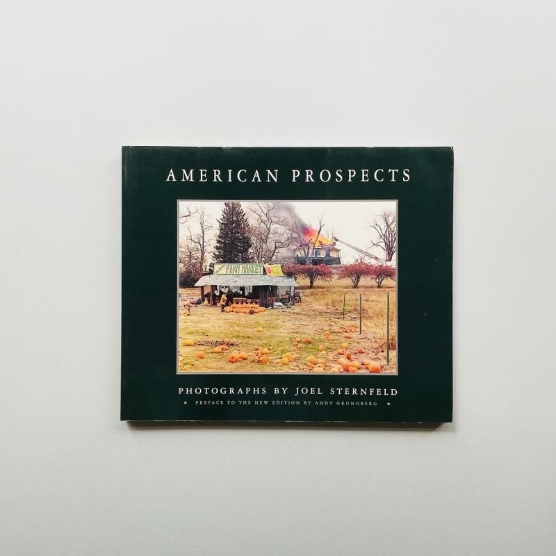 AMERICAN PROSPECTS|Joel Sternfeld ジョエル・スタンフェルド AMERICAN PROSPECTS|Joel Sternfeld ジョエル・スタンフェルド