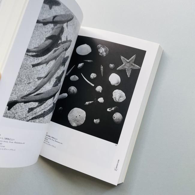 恩地孝四郎 : 色と形の詩人 Onchi : A Poet of Colors and Forms