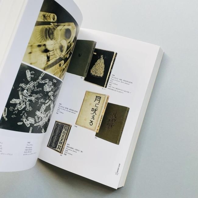 恩地孝四郎 : 色と形の詩人 Onchi : A Poet of Colors and Forms