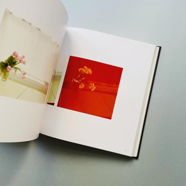 Uta Barth: The Long Now ウタ・バース