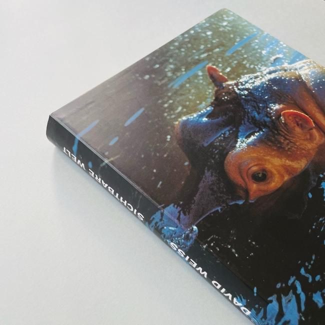 SICHTBARE WELT Peter Fischli David Weiss ペーター・フィッシュリ ダヴィッド・ヴァイス SICHTBARE WELT Peter Fischli David Weiss ペーター・フィッシュリ ダヴィッド・ヴァイス