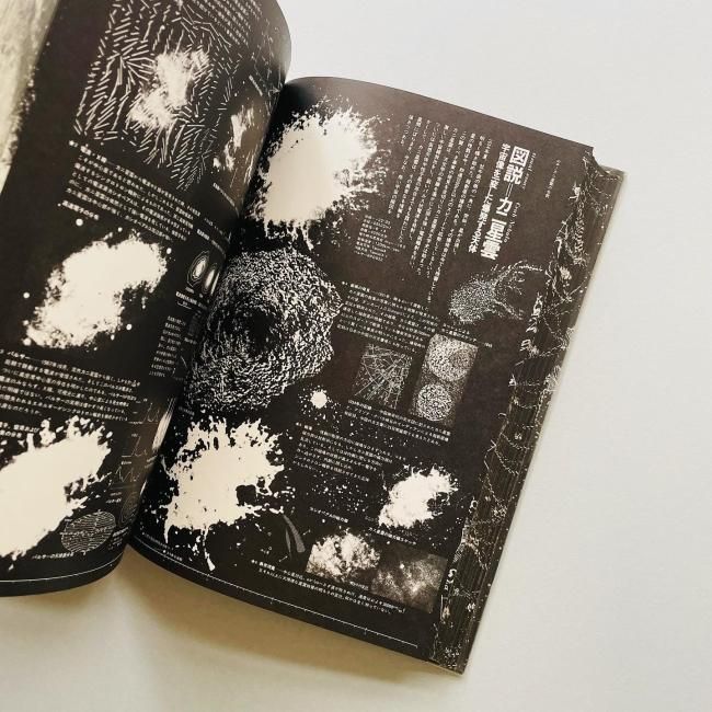 全宇宙誌 Summa Cosmographica｜松岡正剛, 杉浦康平, 羽良多平吉, 戸田