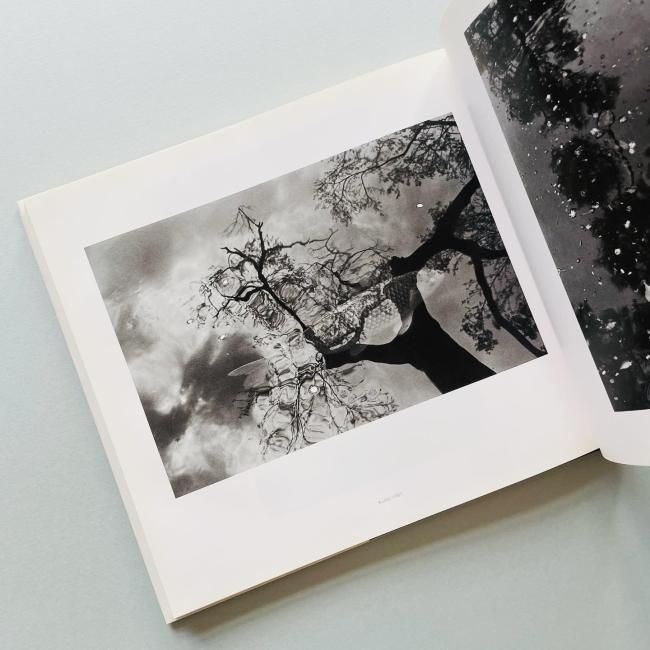 写真集［リー・フリードランダー］｜LEE FRIEDLANDER