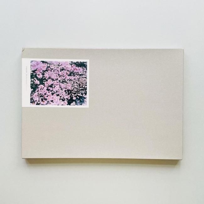Sakura | 鈴木 理策 |本 | 通販 | Amazon