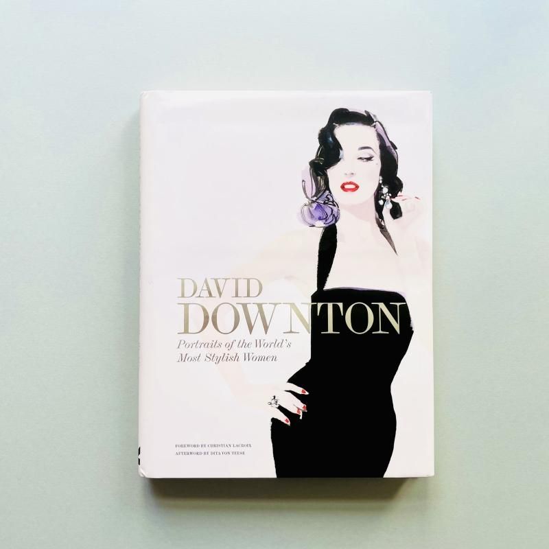 David Downton デヴィッド・ダウントン　イラストレーション集 David Downton デヴィッド・ダウントン イラストレーション集