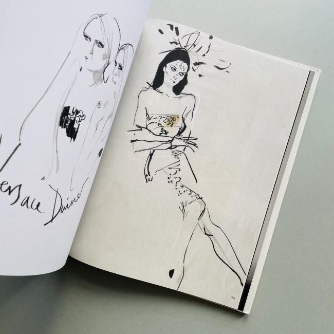 David Downton デヴィッド・ダウントンイラストレーション集