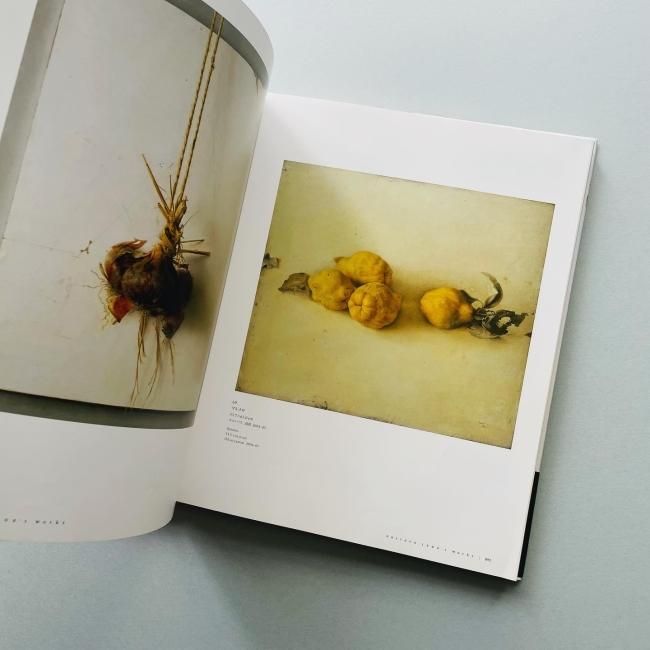 増補 磯江毅 写実考 Enlargement: Gustavo ISOE's Works 1974