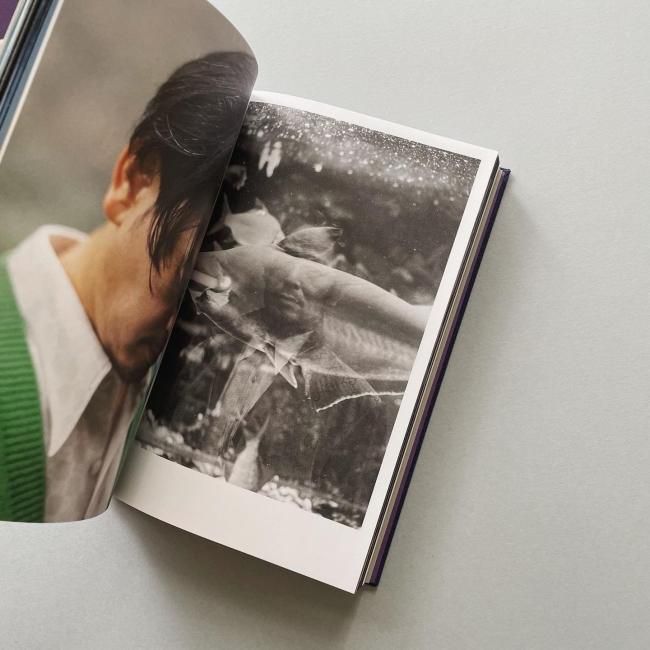 アート・デザイン・音楽 GUCCI NEW GENTLEMEN NEW GENTLEMEN - 森山大道、沢渡朔、野村佐紀子 | AKIO NAGASAWA