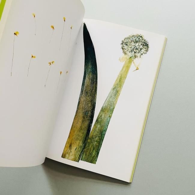 FLORA nick knight 写真集　アート　洋書　インテリア FLORA nick knight 写真集 アート 洋書 インテリア 本