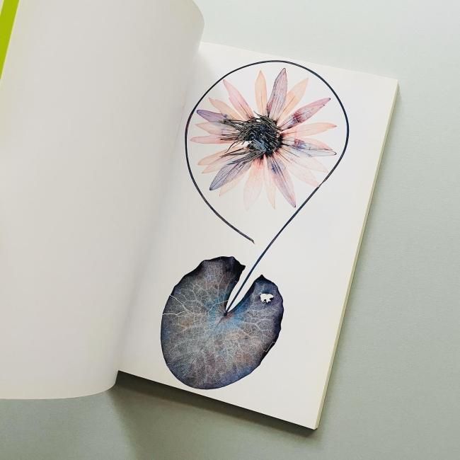 Flora｜Nick Knight ニック・ナイト, Peter Saville ピーター