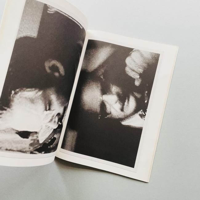 Pigxtras: Harmony Korine Purple Book Harmony Korine