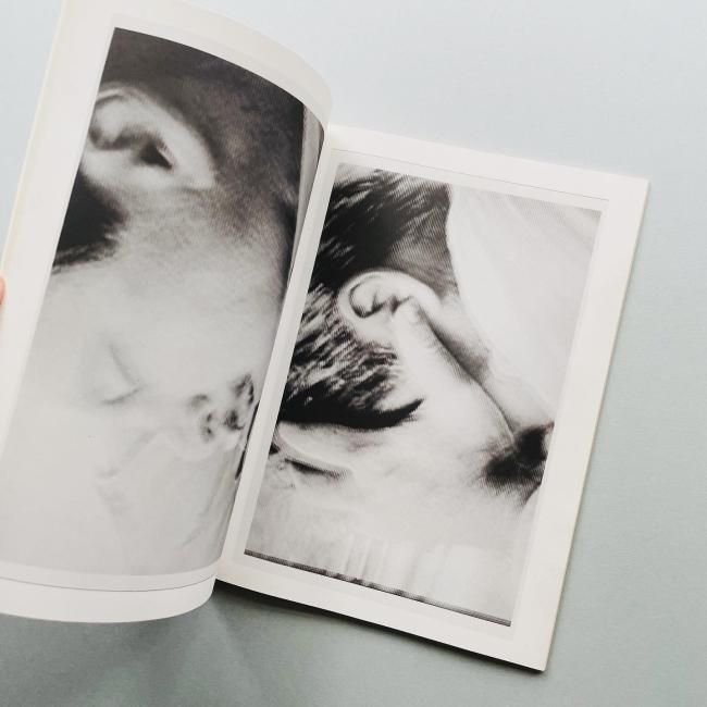 Pigxtras: Harmony Korine Purple Book Harmony Korine