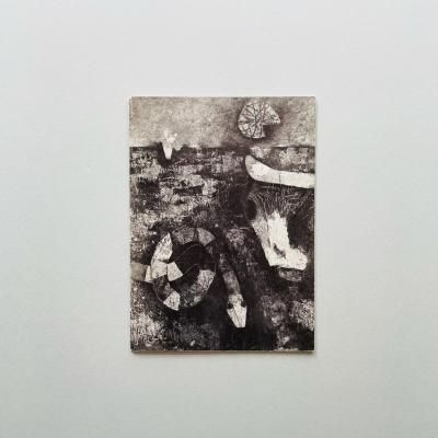 ARDON<br>Willem Sandberg<br>ࡦɥ٥